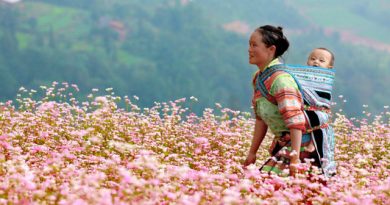 Nguyễn Khoa Điềm, nhà thơ của những miền quê hương đất nước Nguyễn Khoa Điềm, nhà thơ của những miền quê hương đất nước
