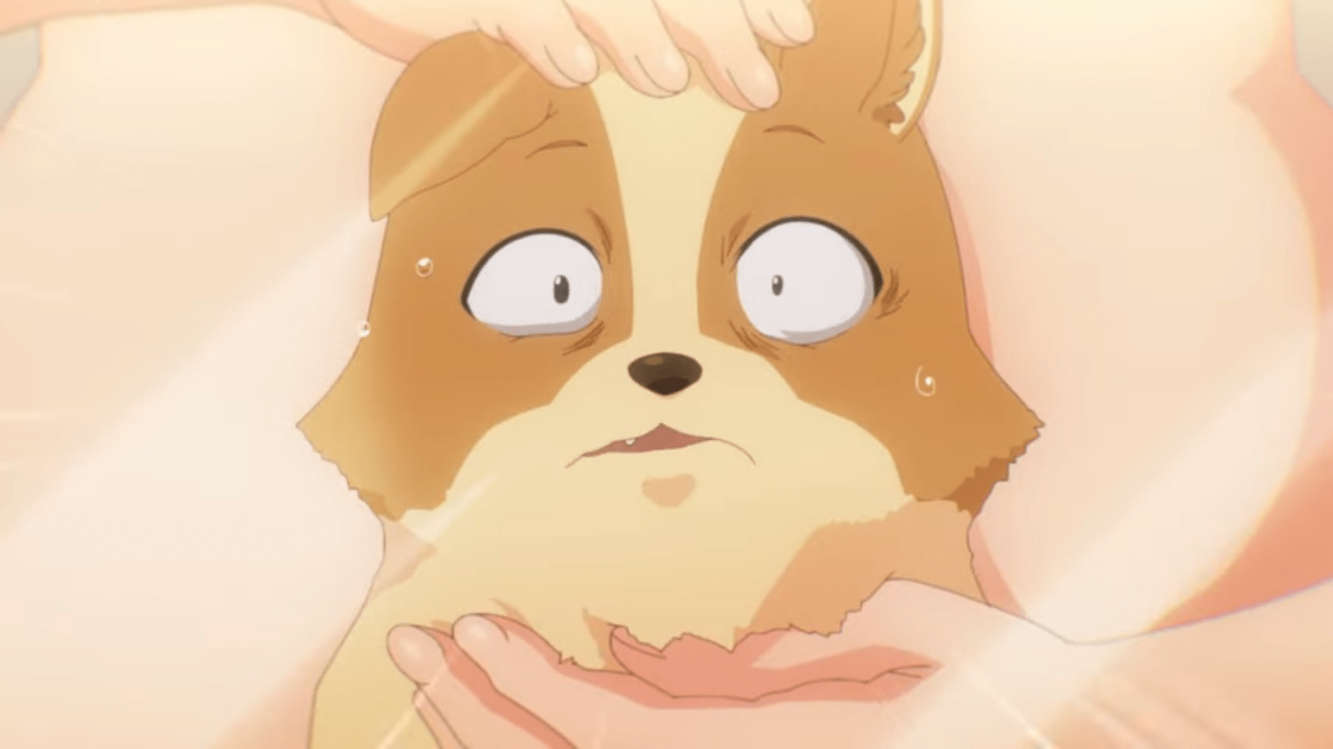 My Life as Inukai-san's Dog có phiên bản Trailer và Visual 